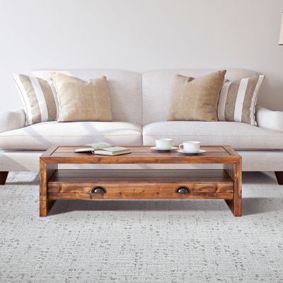 patterned carpet in a Utica living room